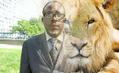 Le Lion de Makanda (LDM)