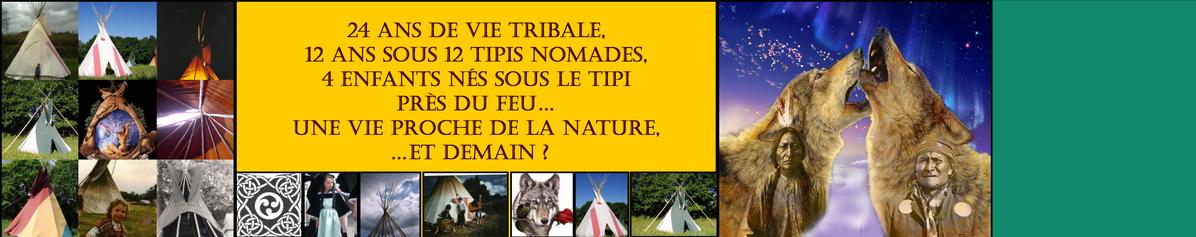 Tipikelt