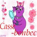 Casse-bonbec