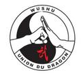 Dragon Wushu