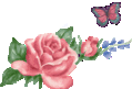 Le blog de Anne