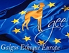 Bienvenue sur le blog de l'association Galgos Ethique Europe