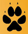 Perros Benavente