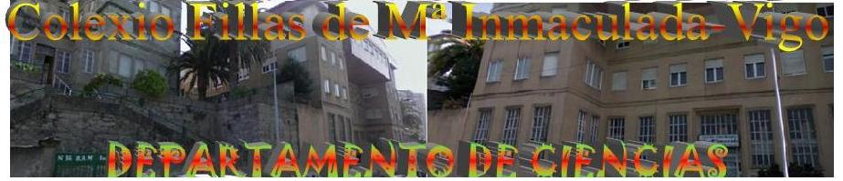 FILLAS MARIA INMACULADA fillas maria inmaculada: