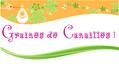 grainesdecanailles@gmail.com