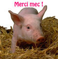 lavievegetarienne.over-blog.com