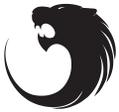 Prince Randy K. A. S - The Black Lion
