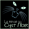 Chat Noir