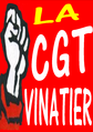 cgt vinatier