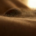 Aude