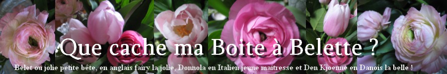 Que Cache Ma Boite à Belette ?