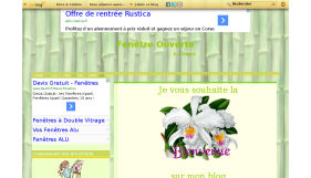 Fenetre Ouverte